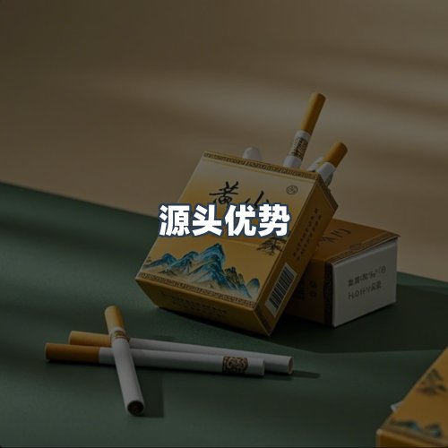 服务优势